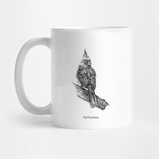 Pyrrhuloxia bird Mug